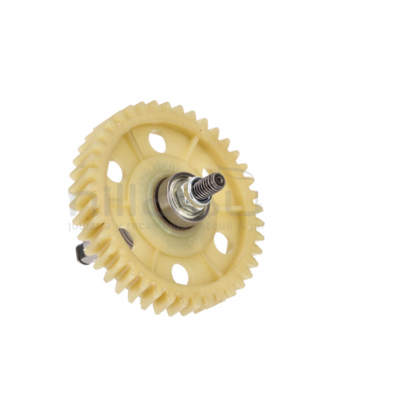 (PREVISÃO 15/09/2025)...